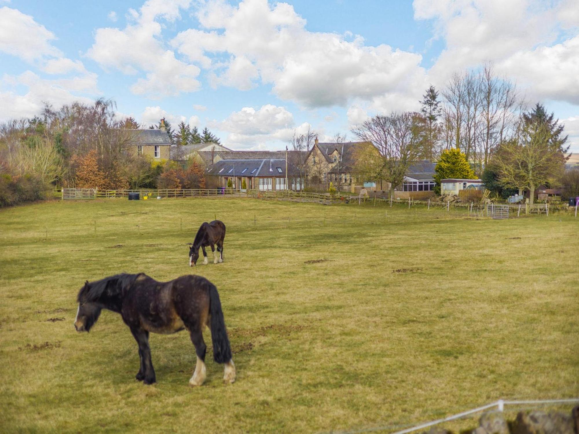 Appletree Cottage Kirkton of Tealing Dış mekan fotoğraf